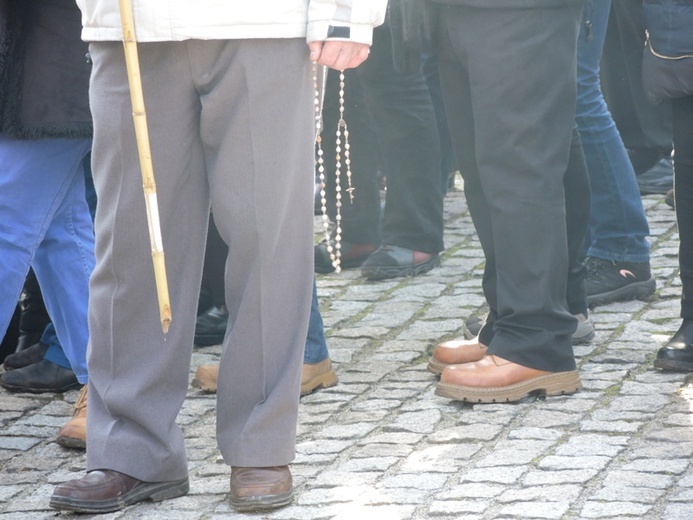 Droga Krzyżowa na terenie KL Auschwitz-Birkenau