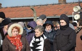 Droga Krzyżowa na terenie KL Auschwitz-Birkenau