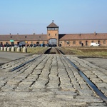 Droga Krzyżowa na terenie KL Auschwitz-Birkenau