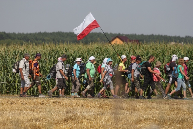 Masz ochotę na mały spacer?