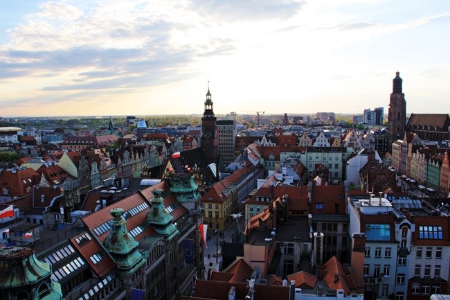 Pomnik Wałęsy czy brzoza dla Kaczyńskich? 