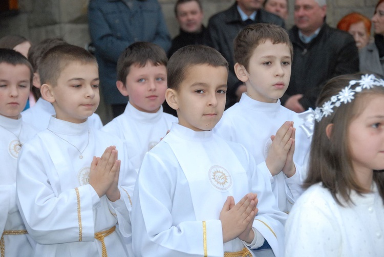 Nawiedzenie w Żbikowicach