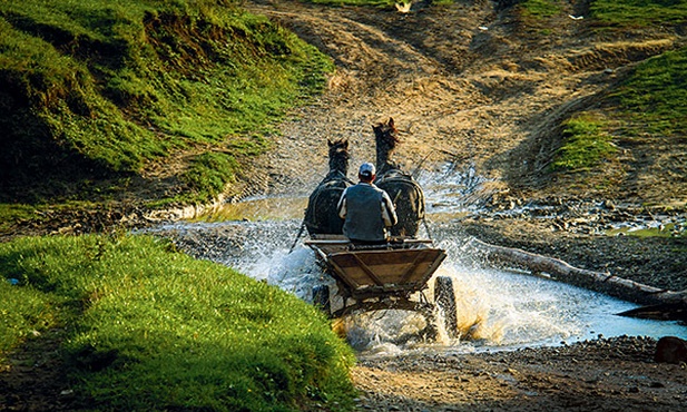 Furmanka to wciąż najbardziej niezawodny środek transportu na bukowińskich drogach, gdzie czasem powódź zrywa mostek. Wtedy koń i furmanka dowodzą swoich przewag nad kosztownym terenowcem. Końskie chrapy trudniej zalać wodą niż silnik samochodu 