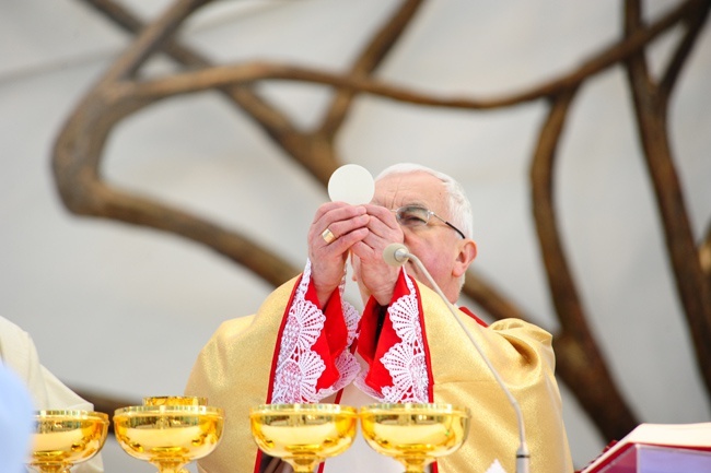 Nowi Nadzwyczajni Szafarze Eucharystii i odznaczenie 53 szafarzy na 10-lecie posługi