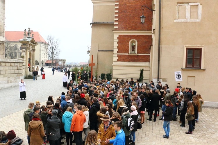 Niedziela Palmowa 2016 na Wawelu