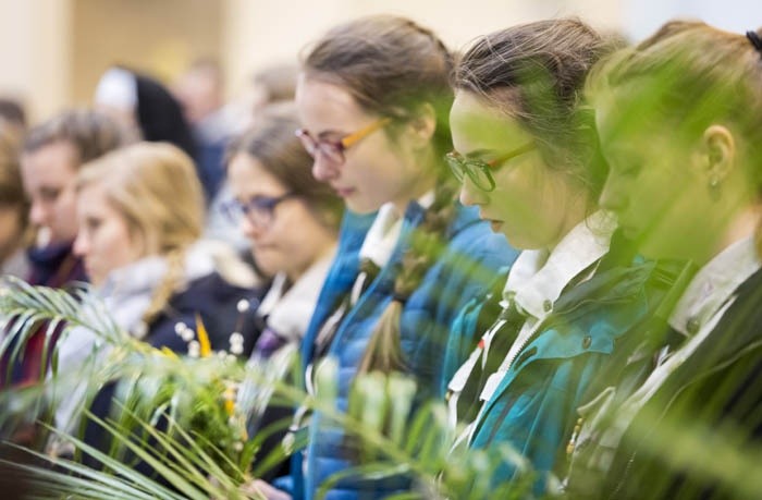 Niedziela Palmowa w Katowicach, cz. II