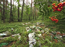 Śmieci plastikowe to nie tylko problem estetyczny, ale także ekologiczny i ekonomiczny