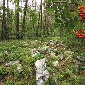 Śmieci plastikowe to nie tylko problem estetyczny, ale także ekologiczny i ekonomiczny