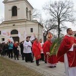 Niedziela Palmowa w Łowiczu, cz. II