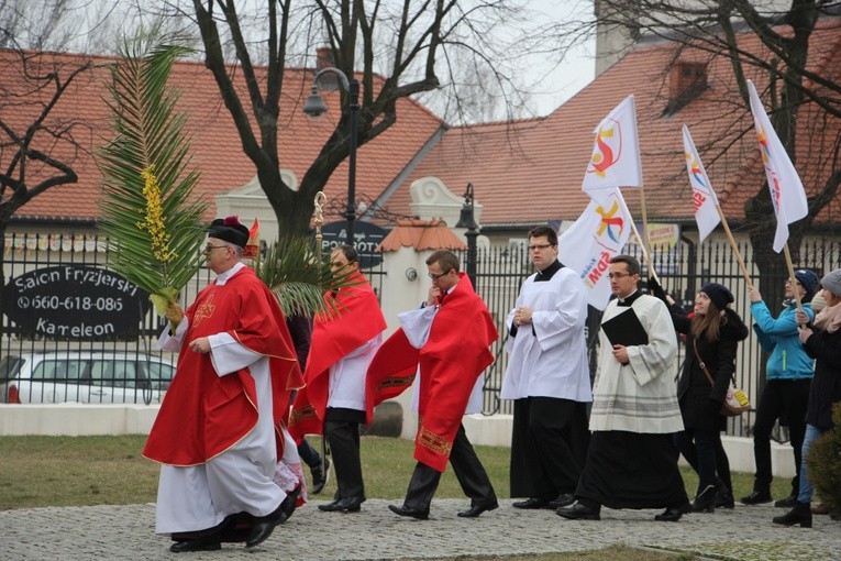 Niedziela Palmowa w Łowiczu, cz. II