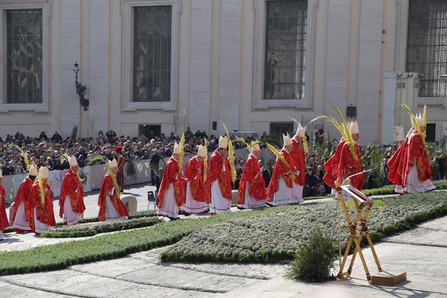 Pielgrzymka wolontariuszy do Włoch po gałązki oliwne