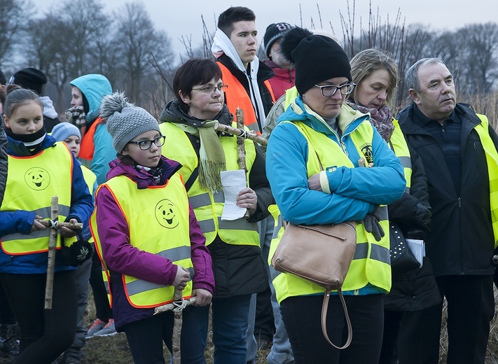 Droga Krzyżowa z Karlina do Domacyna