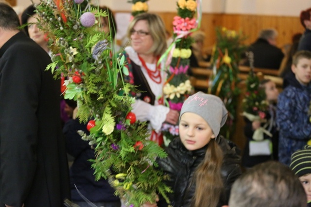 Palmy w Sopotni Wielkiej