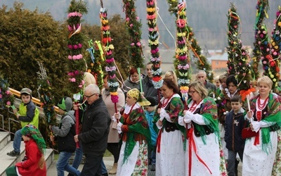 Palmy w Sopotni Wielkiej