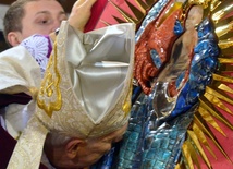 Nowa sukienka MB Świdnickiej