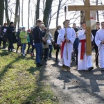 Dzikowska Droga Krzyżowa