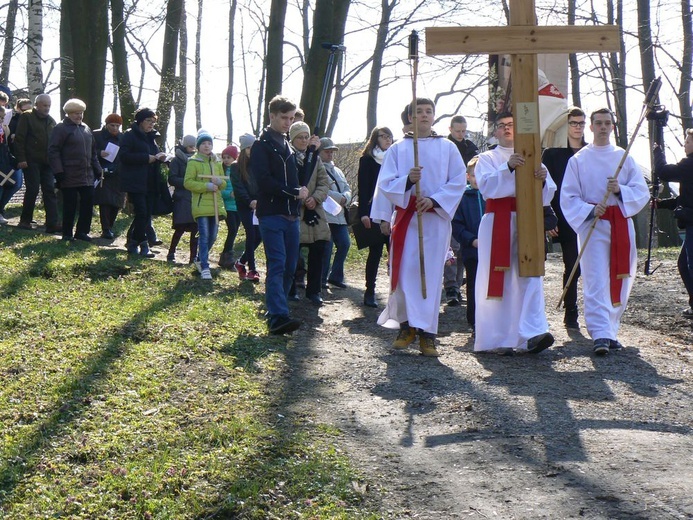 Dzikowska Droga Krzyżowa