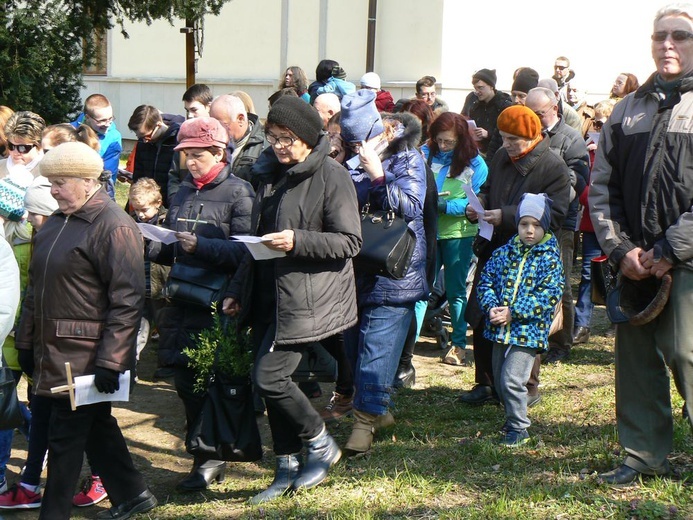 Dzikowska Droga Krzyżowa