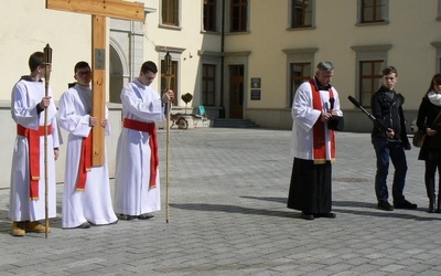 Dzikowska Droga Krzyżowa