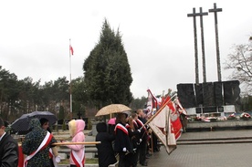 Co roku na cmentarzu na Firleju organizowane są uroczystości patriotyczne ku czci pomordowanych przez oprawców hitlerowskich