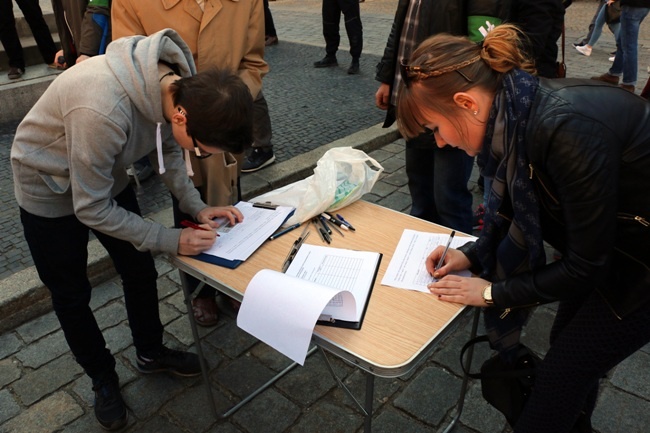 Manifestacja środowisk narodowych