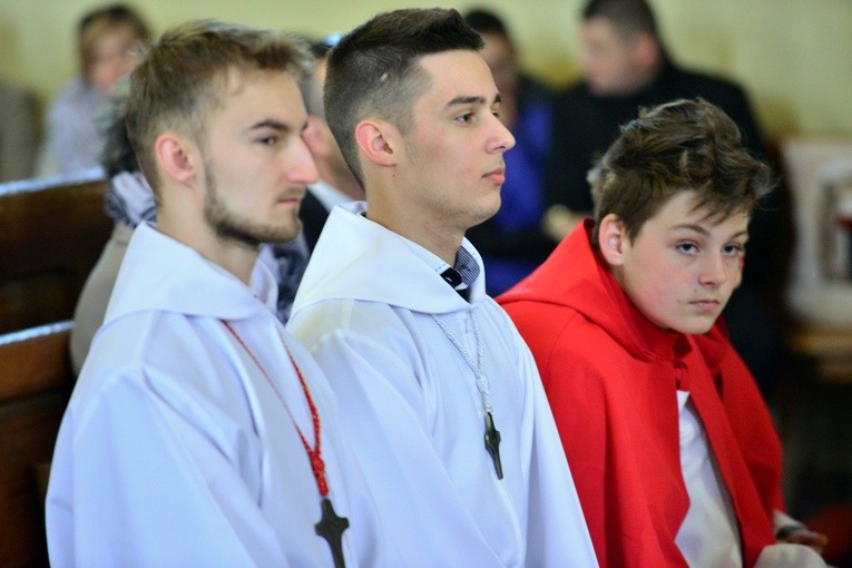 Kard. Bertone w Świebodzicach