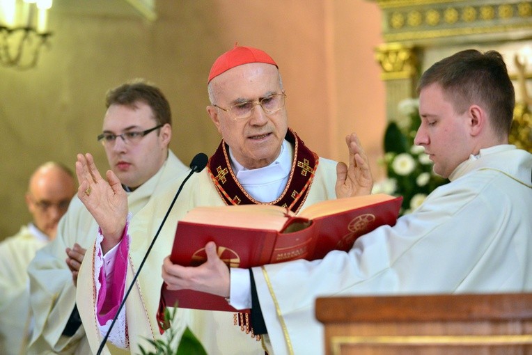 Kard. Bertone w Świebodzicach