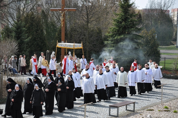 Puławy ogarnięte łaską Miłosiernego