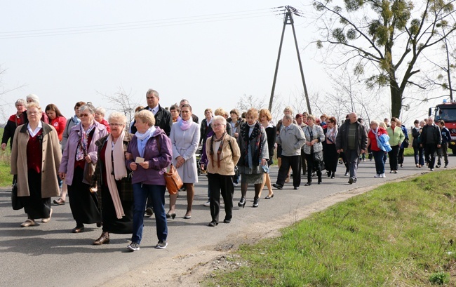 Procesja dekanalna miłosierdzia Wróblowice-Lutynia