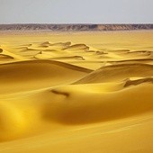 Ziarenka piasku z Sahary pokonują w powietrzu 7–10 tysięcy kilometrów, by opaść w Amazonii