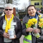 Pola Nadziei zakwitły w Koszalinie