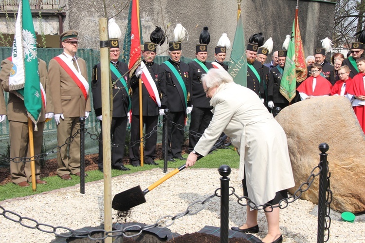 Dąb dla Polski i górników 