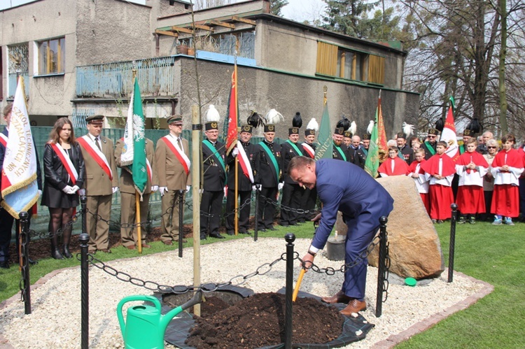 Dąb dla Polski i górników 