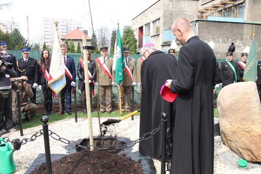 Dąb dla Polski i górników 