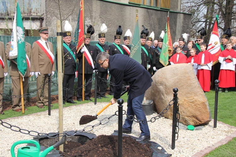 Dąb dla Polski i górników 