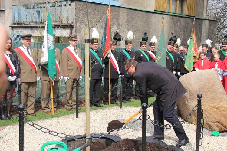 Dąb dla Polski i górników 