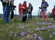 Nordic walking z Posłańcami Pokoju