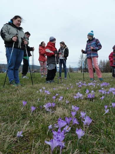 Nordic walking z Posłańcami Pokoju