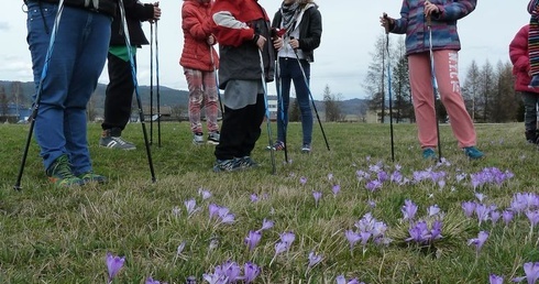 Nordic walking z Posłańcami Pokoju