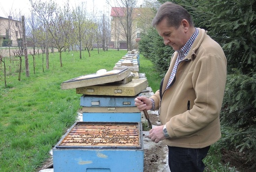 Pszczelarska pasja proboszcza i św. Ambroży