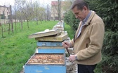 Pszczelarska pasja proboszcza i św. Ambroży