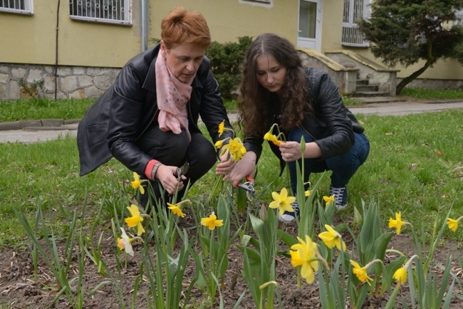 Pola Nadziei zakwitły