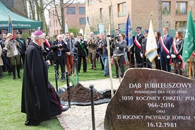 Obok drzewa, tuż przy pamiątkowej tablicy, wmurowano akt posadzenia jubileuszowego dębu. Podpisali się pod nim goście oraz organizatorzy uroczystości