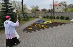 Ziarno już zasiane
