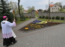 Ziarno już zasiane