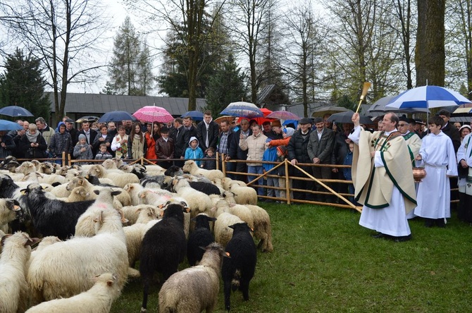 Święto Bacowskie w Ludźmierzu