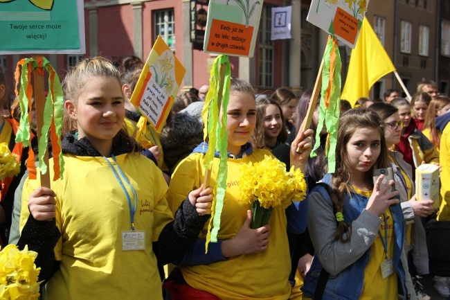 Pola Nadziei na Pomorzu