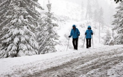 Niemcy: - 17 stopni C na najwyższej górze w kraju