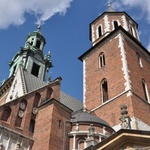 Ze Szczepanowa na Wawel