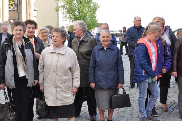 Ze Szczepanowa na Wawel